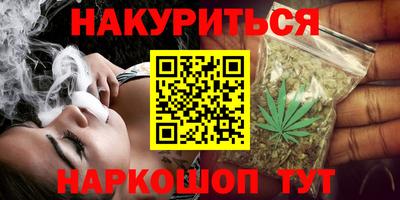 крисы Будённовск