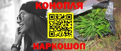 крисы Будённовск
