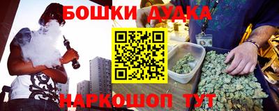 крисы Будённовск