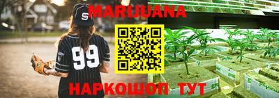 крисы Будённовск