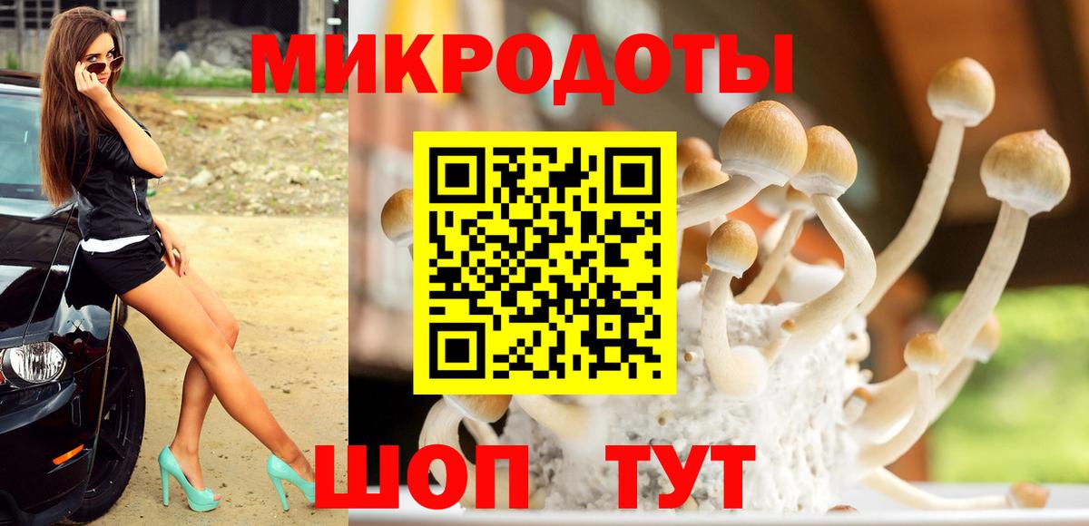 наркота  Вход с VPN  Псилоцибиновые грибы ЛСД  Великие Луки  Галлюциногенные грибы мицелий 